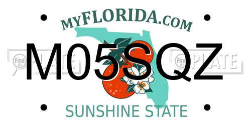 M05SQZ Florida License Plate