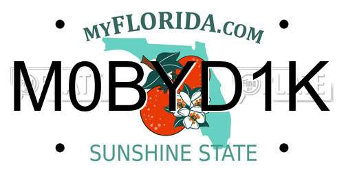 M0BYD1K Florida License Plate