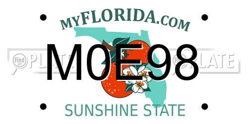 M0E98 Florida License Plate