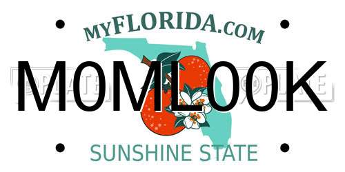 M0ML00K Florida License Plate
