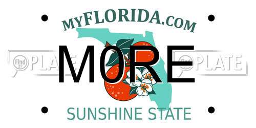 M0RE Florida License Plate