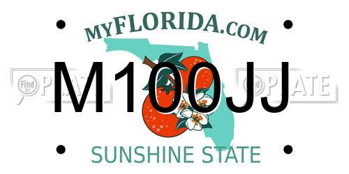 M100JJ Florida License Plate