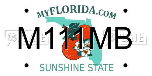 M111MB Florida License Plate