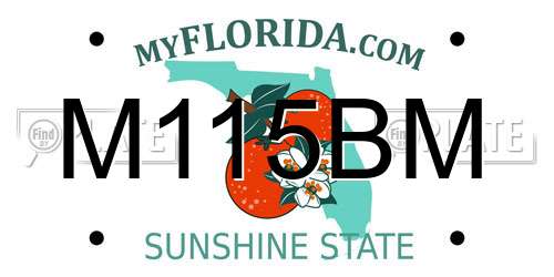 M115BM Florida License Plate