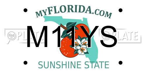 M11YS Florida License Plate