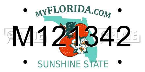 M121342 Florida License Plate