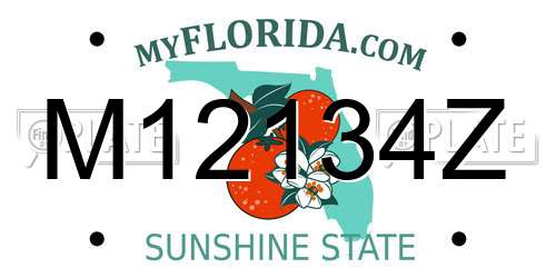 M12134Z Florida License Plate
