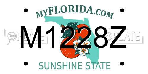 M1228Z Florida License Plate