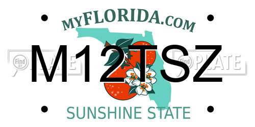 M12TSZ Florida License Plate