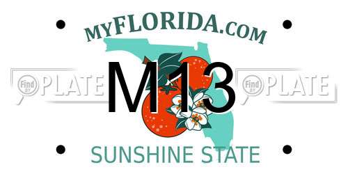 M13 Florida License Plate