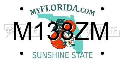 M138ZM Florida License Plate