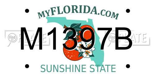 M1397B Florida License Plate
