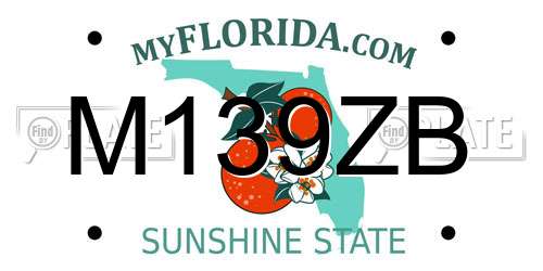 M139ZB Florida License Plate