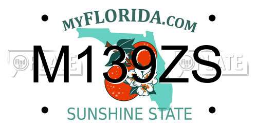 M139ZS Florida License Plate