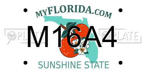 M16A4 Florida License Plate