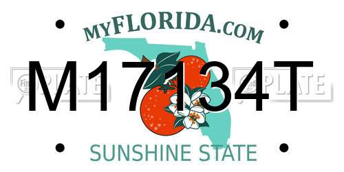 M17134T Florida License Plate