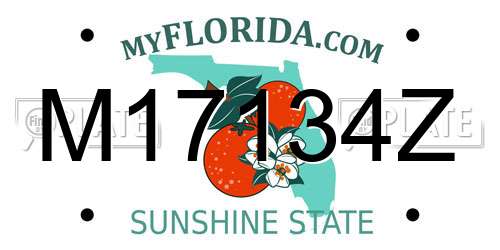 M17134Z Florida License Plate