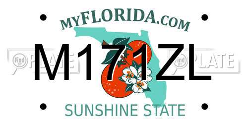 M171ZL Florida License Plate