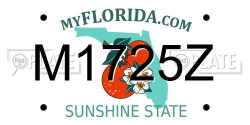 M1725Z Florida License Plate