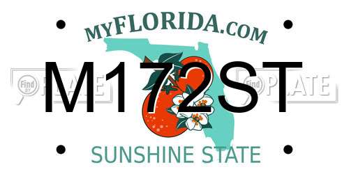 M172ST Florida License Plate