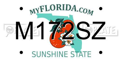 M172SZ Florida License Plate