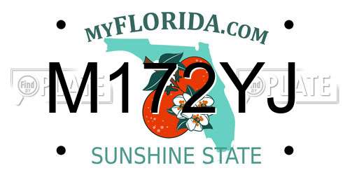 M172YJ Florida License Plate