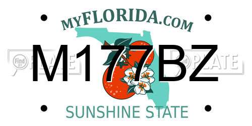 M177BZ Florida License Plate