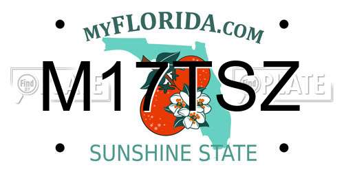 M17TSZ Florida License Plate
