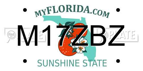 M17ZBZ Florida License Plate