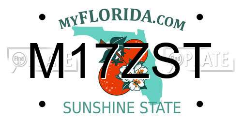 M17ZST Florida License Plate