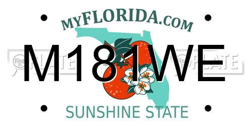 M181WE Florida License Plate