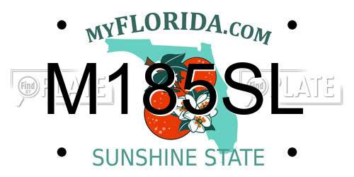 M185SL Florida License Plate