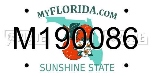 M190086 Florida License Plate