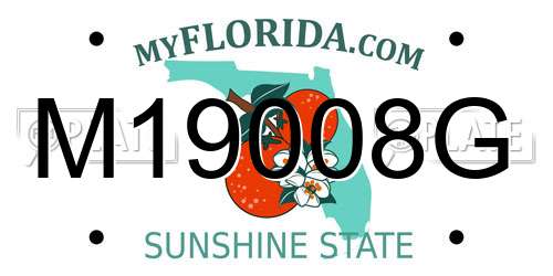 M19008G Florida License Plate