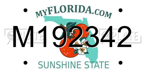 M192342 Florida License Plate