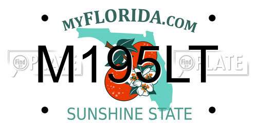M195LT Florida License Plate