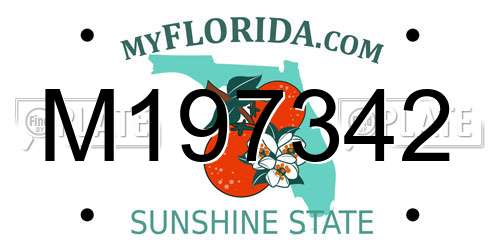 M197342 Florida License Plate