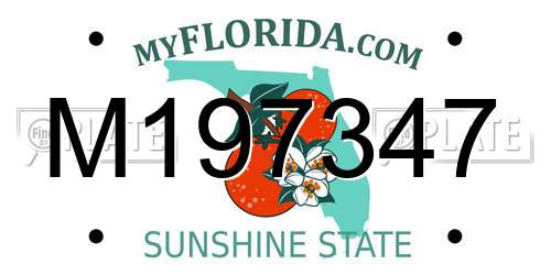 M197347 Florida License Plate