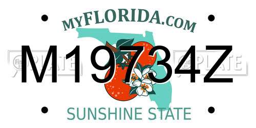M19734Z Florida License Plate