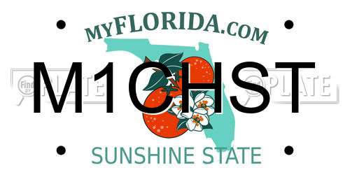 M1CHST Florida License Plate