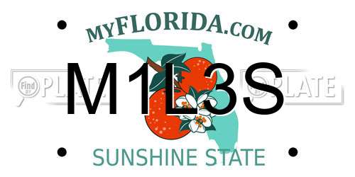 M1L3S Florida License Plate