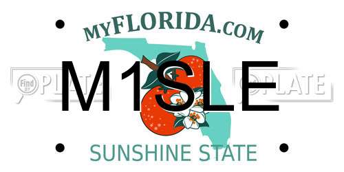 M1SLE Florida License Plate
