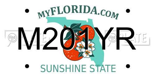 M201YR Florida License Plate