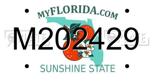 M202429 Florida License Plate