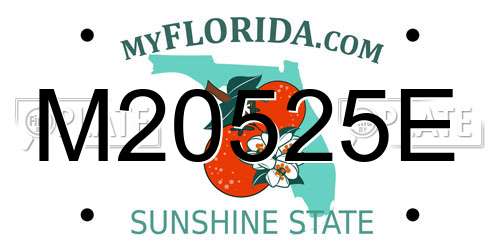 M20525E Florida License Plate