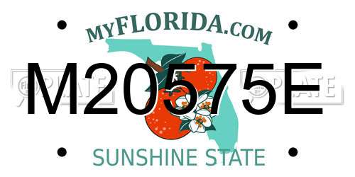 M20575E Florida License Plate
