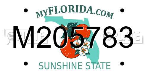 M205783 Florida License Plate