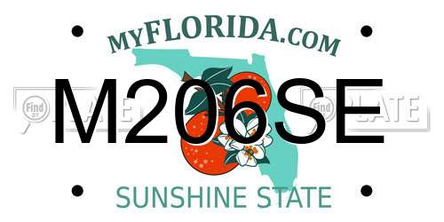 M206SE Florida License Plate