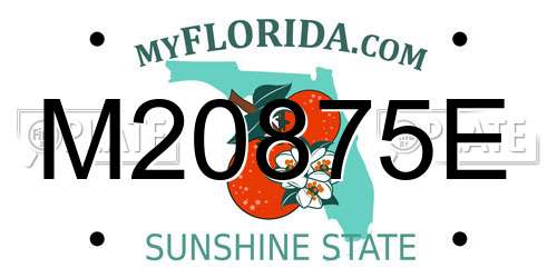 M20875E Florida License Plate