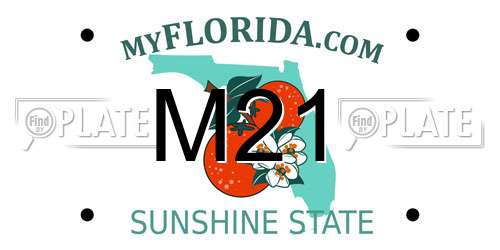M21 Florida License Plate